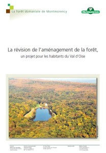 Amenagement foret Montmorency