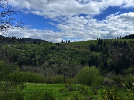 2024 05 02 Vosges