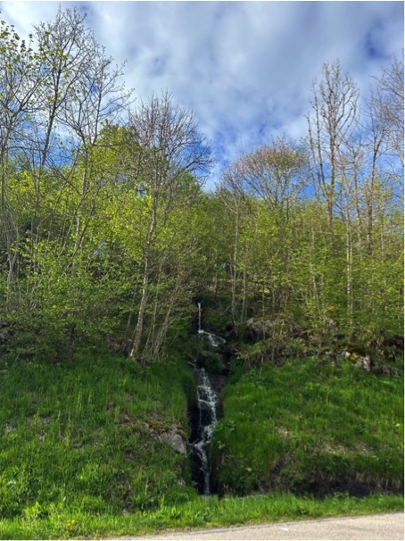 2024 05 07 Vosges