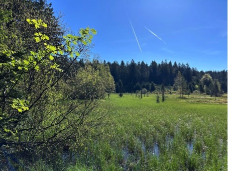 2024 05 22 Vosges