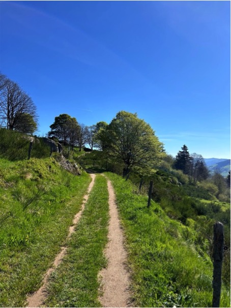 2024 05 27 Vosges