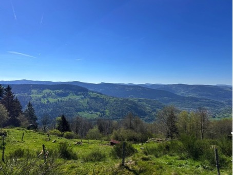2024 05 28 Vosges