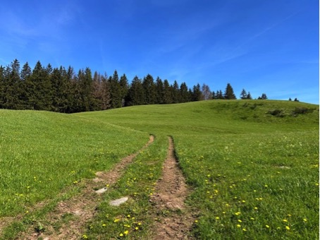 2024 05 30 Vosges