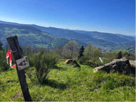 2024 05 31 Vosges